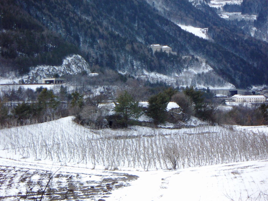 un ultima visione (invernale)