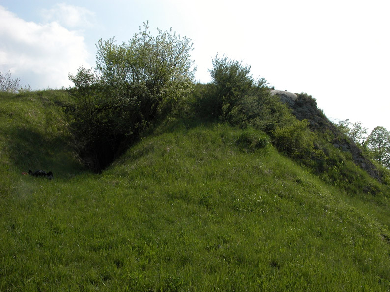 DSCN1049.jpg