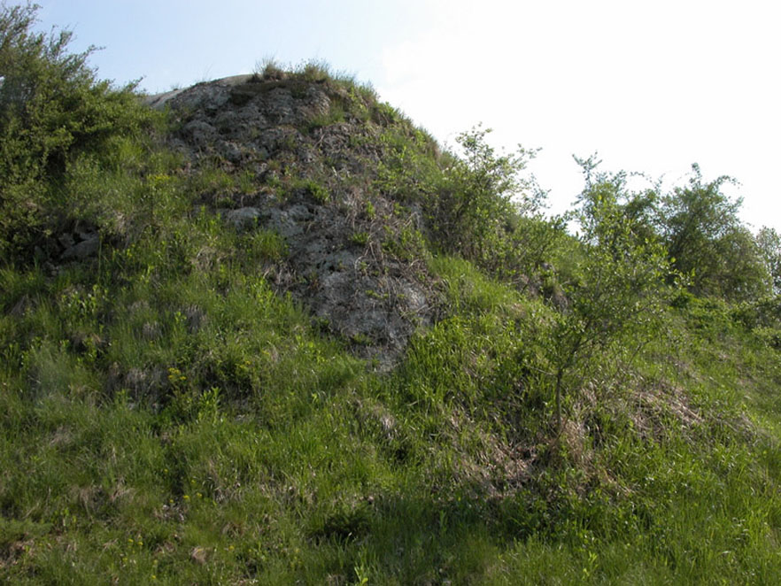 DSCN1050.jpg