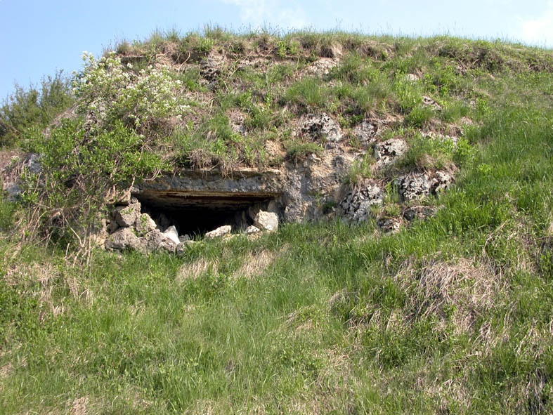 DSCN1051.jpg