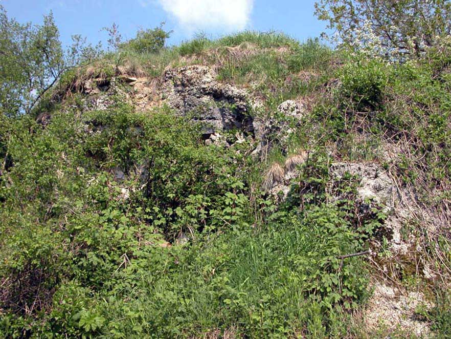 DSCN1052.jpg