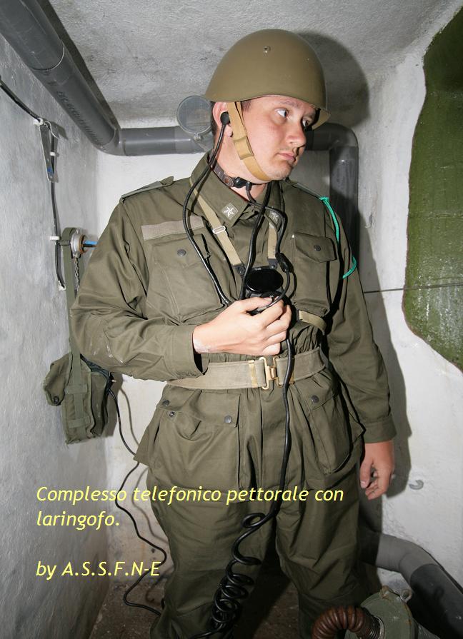 Compl1.JPG