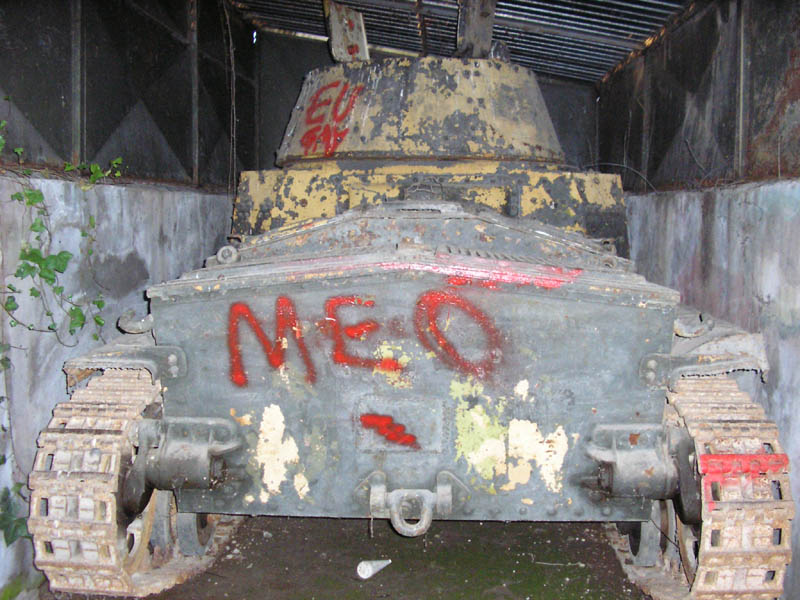 meo.jpg