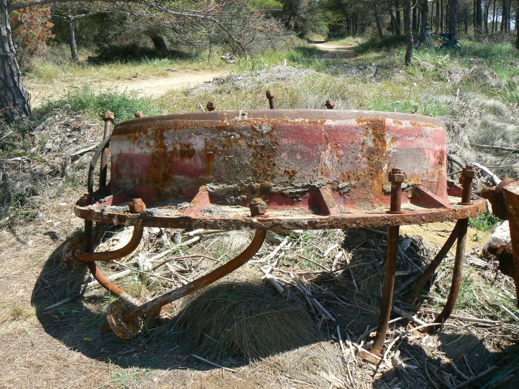 P1070076a.jpg