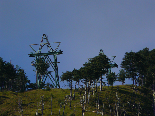 3_2Â° cavalletto di linea.JPG
