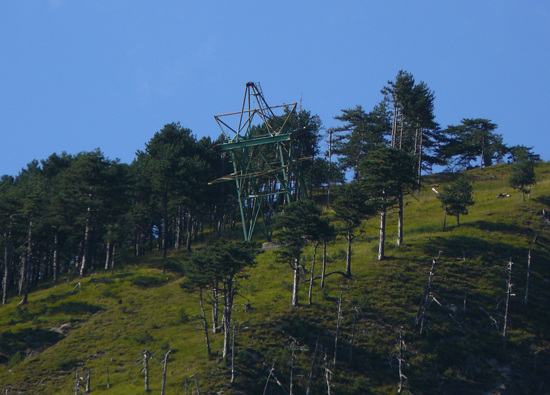 2_1Â° cavalletto di linea.JPG
