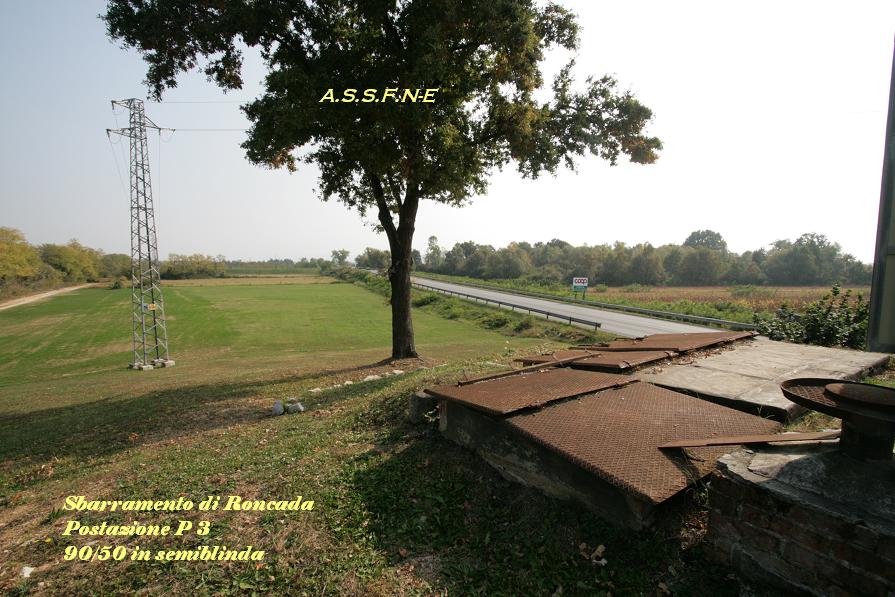 p3.JPG