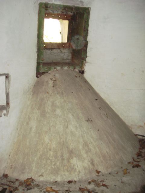 DSC01.jpg