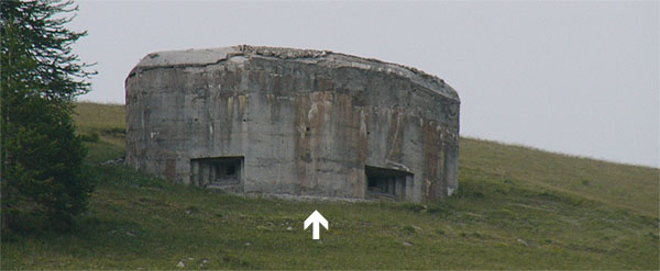 Untitled-1 copy.jpg