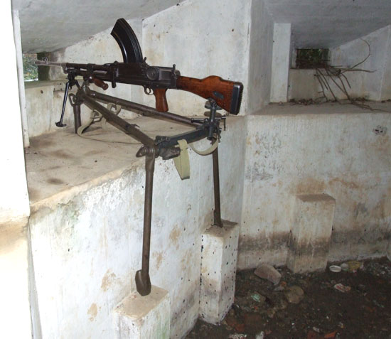 bren in caponiera.jpg