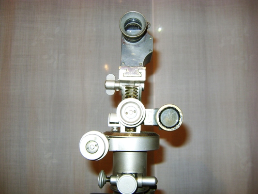 Immagine 278.jpg