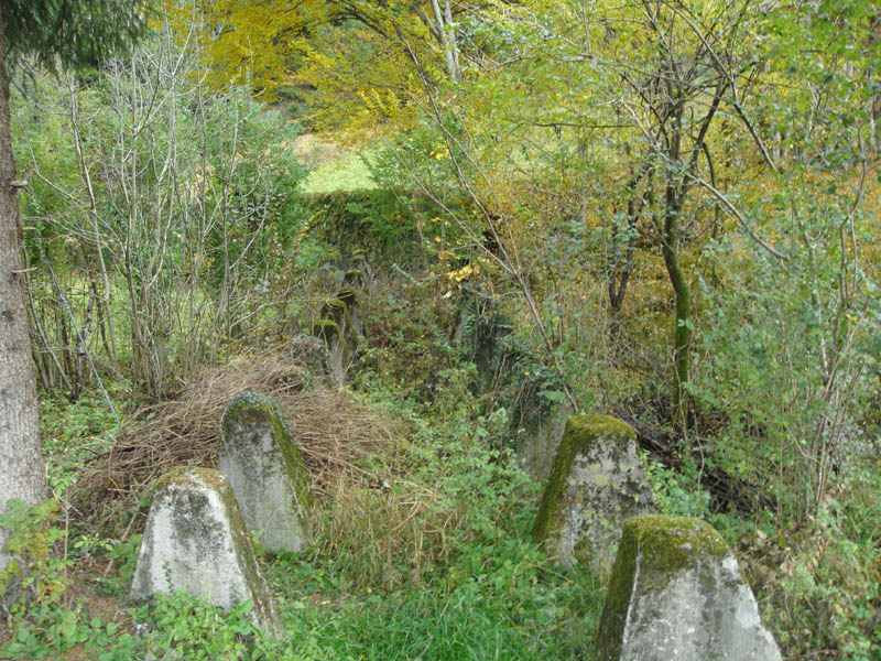 Un primo piano dei denti. Il muro in fondo impediva di salire sulla collina.<br />Dietro c'è l'opera 3