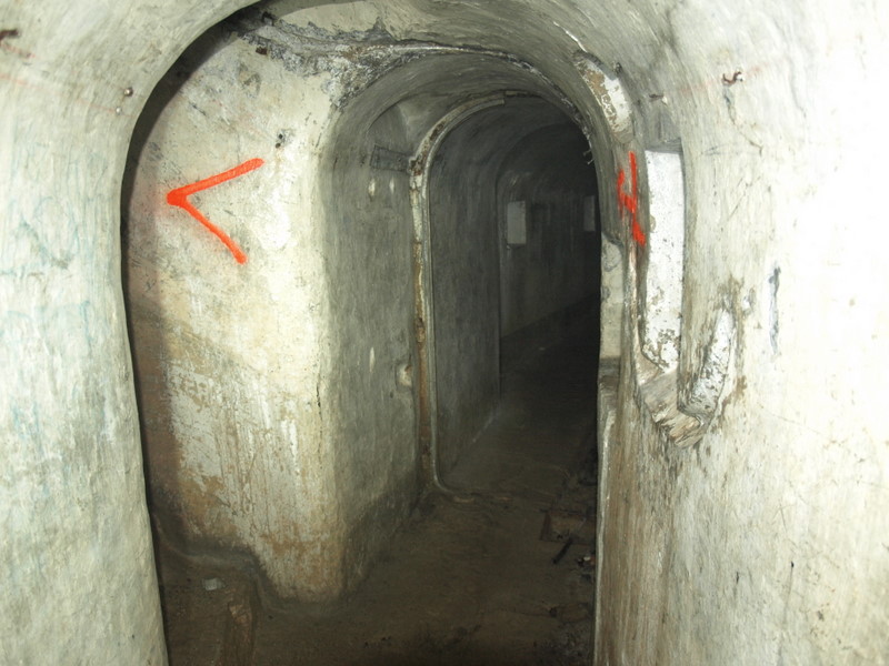 09180082.JPG
