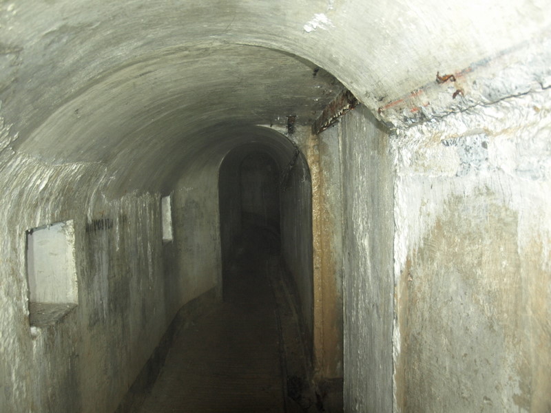 09180083.JPG