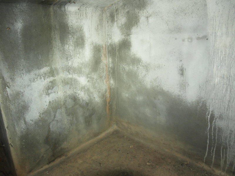 09180090.JPG