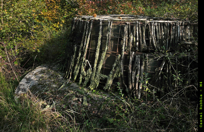 CR-009.jpg