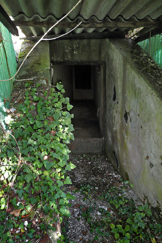 CR-006.jpg