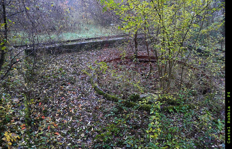 CR-005.jpg
