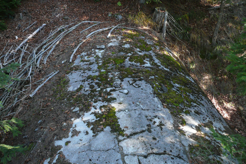 104.jpg