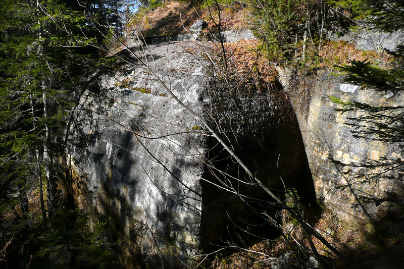 103.jpg