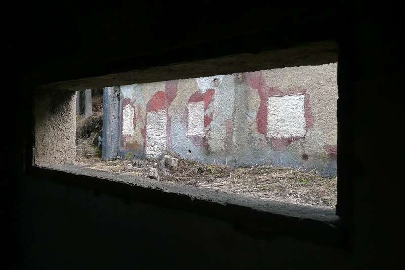 206.jpg