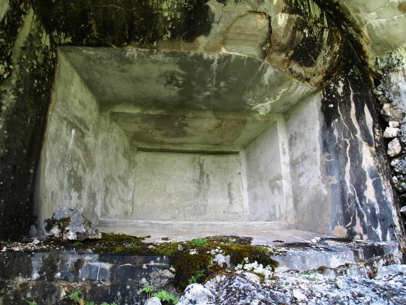 08095090.JPG