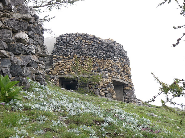 106e.jpg