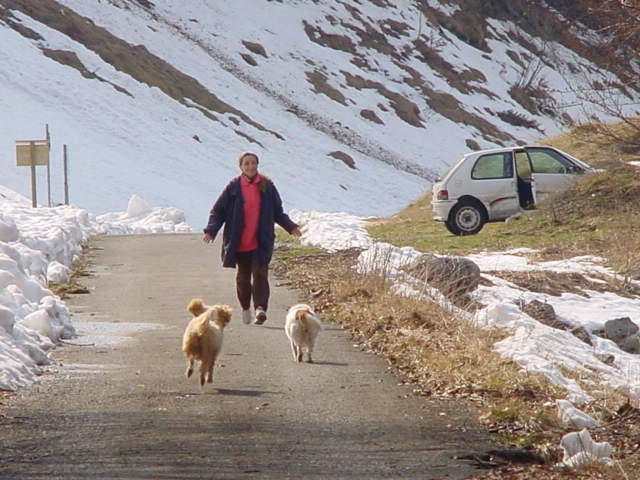 Pasqua03Car (14).JPG