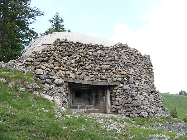 107d.jpg