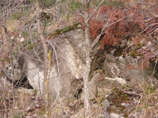 Blocco di calcestruzzo in mezzo al bosco dell'opera 37