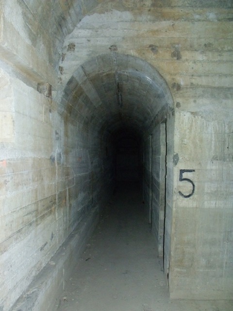 Opera 35.