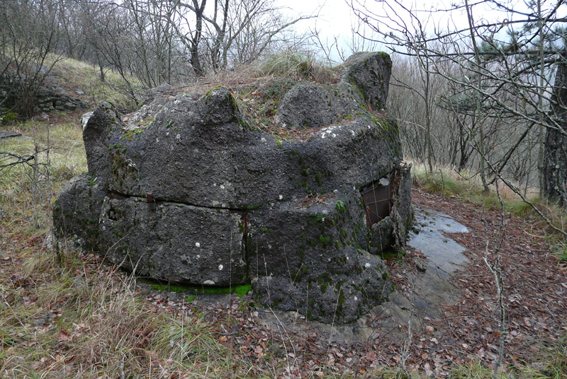 d003.jpg