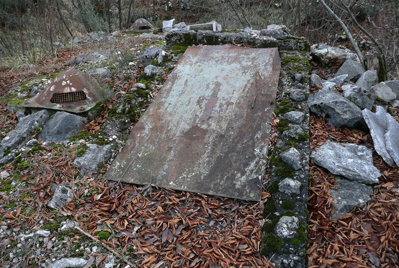 d004.jpg