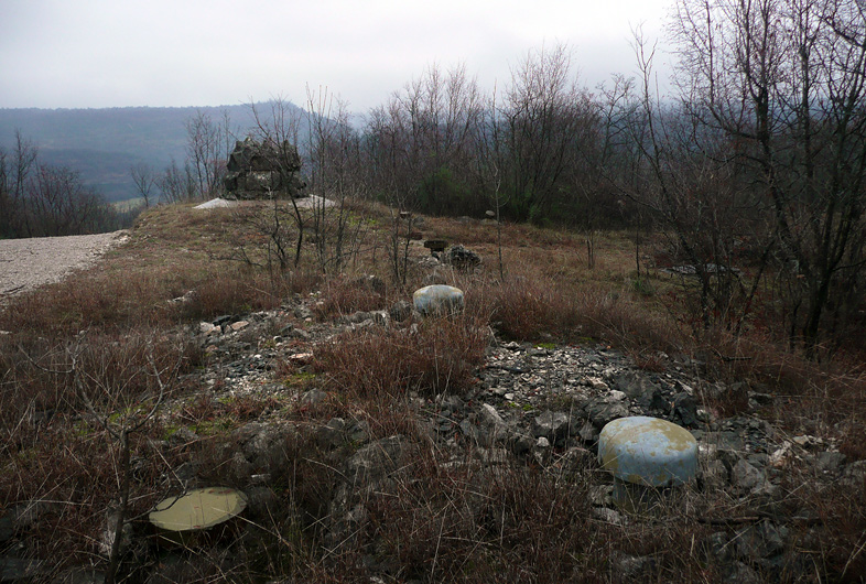 d005.jpg
