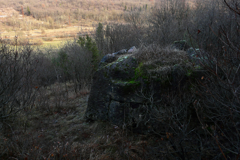 d006.jpg