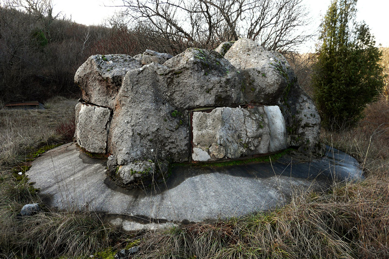 d008.jpg