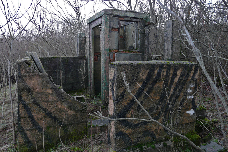 d009.jpg