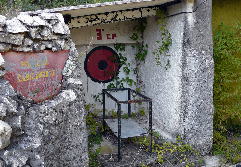 d010.jpg