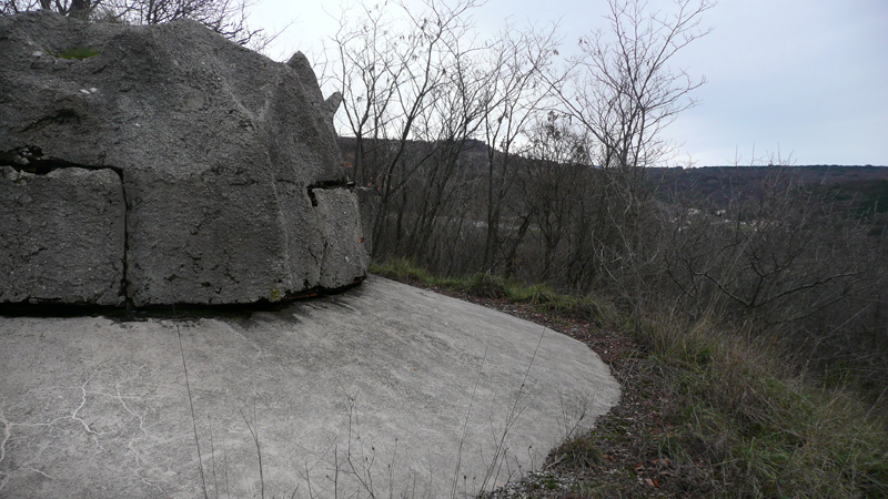 d012.jpg