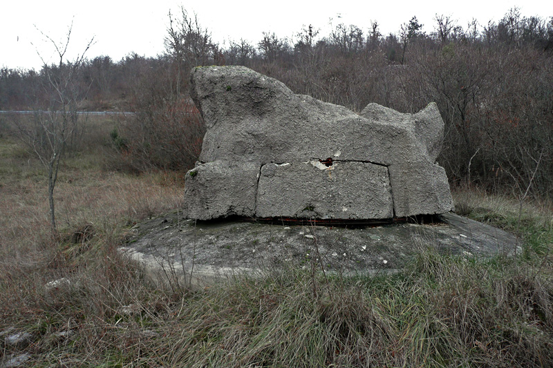 d013.jpg