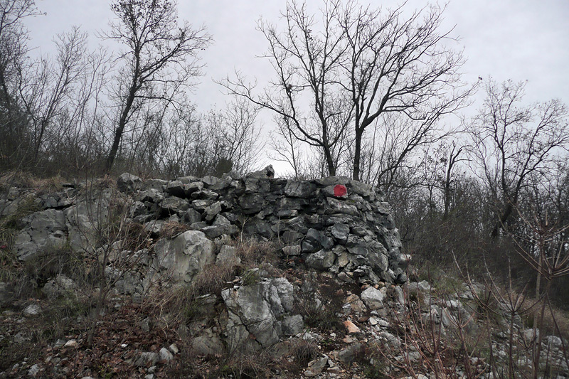d021.jpg
