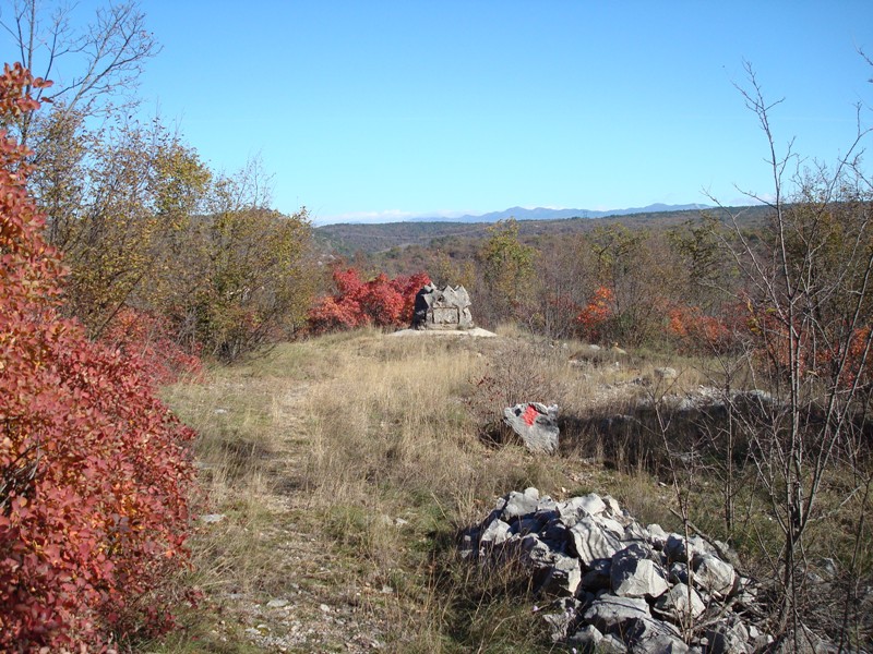 DSC00102.JPG