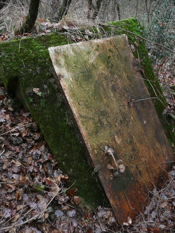 P09.jpg