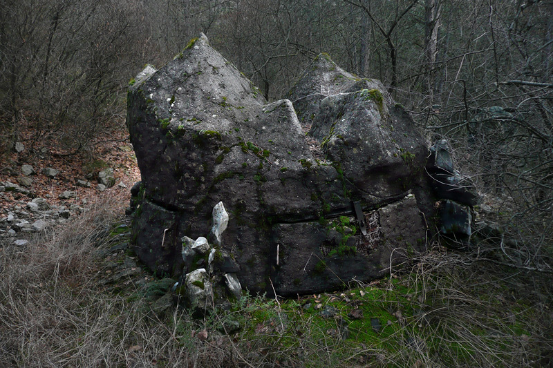 P08.jpg