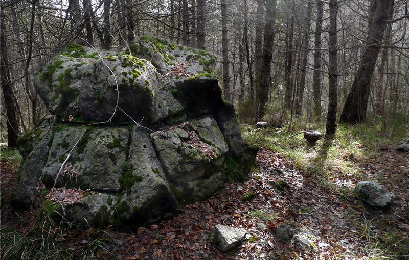 P06.jpg