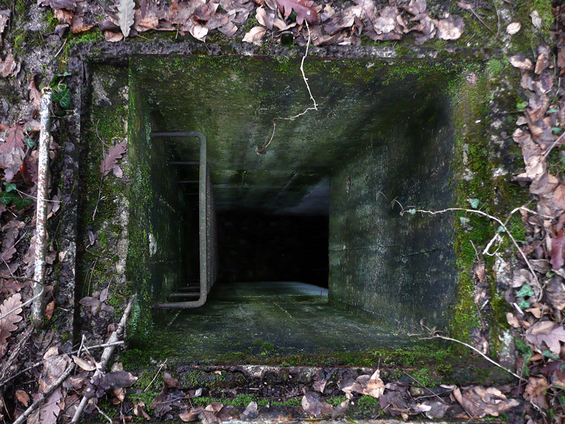 P15.jpg