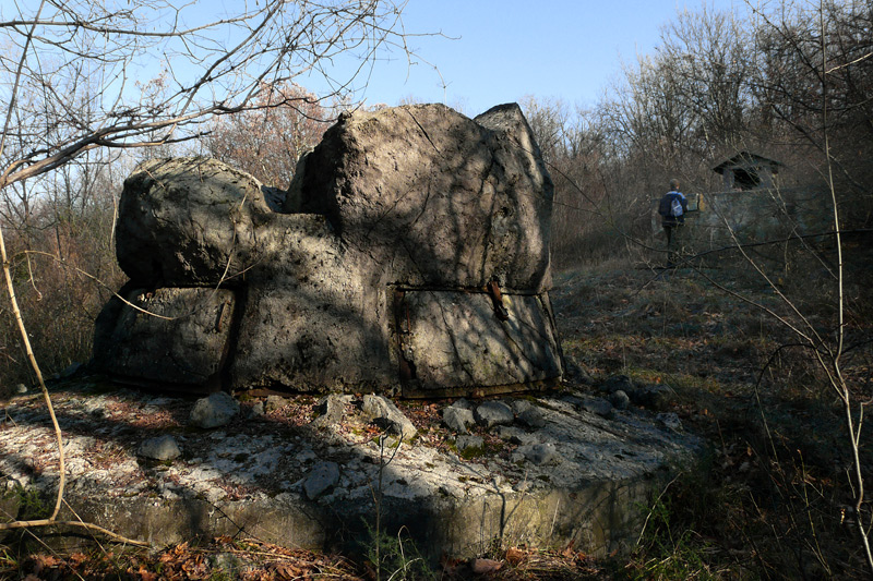 P16.jpg