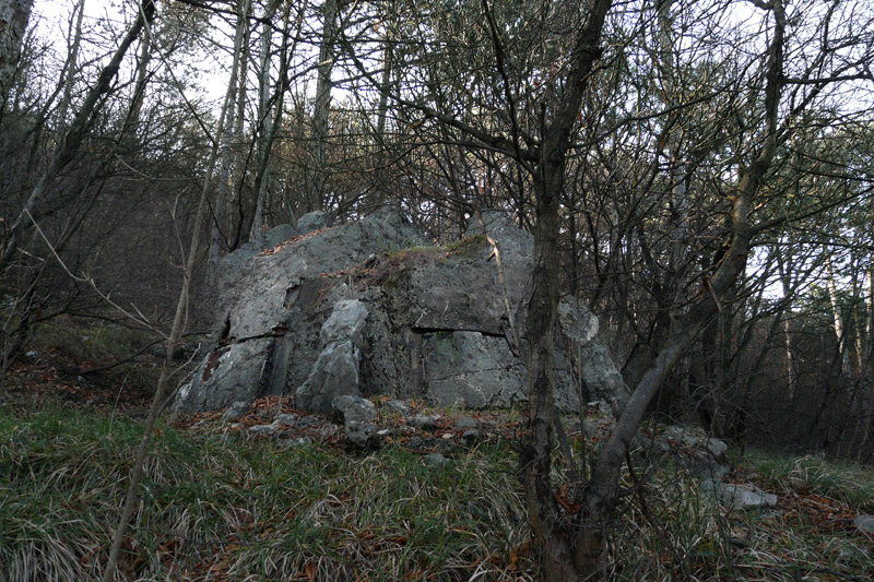 P17.jpg