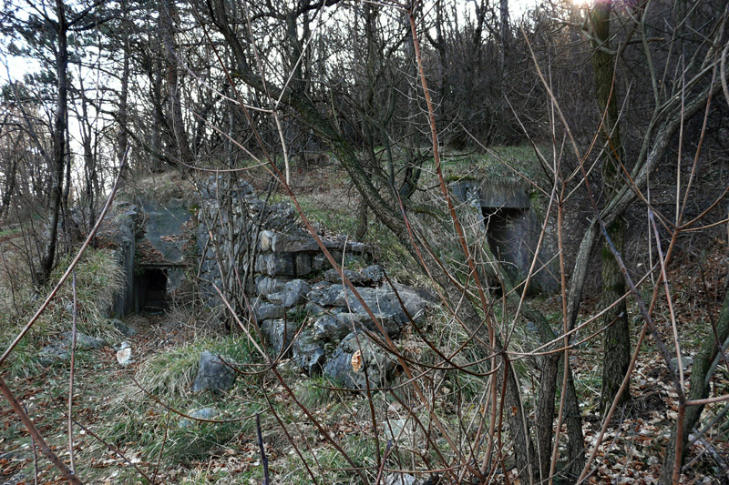 P18.jpg