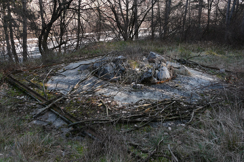 P19.jpg